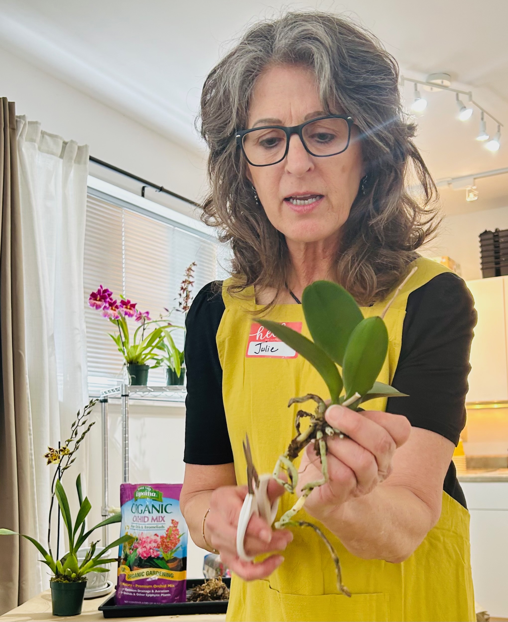 “FOR THE LOVE OF ORCHIDS” WORKSHOP WITH JULIE GUY