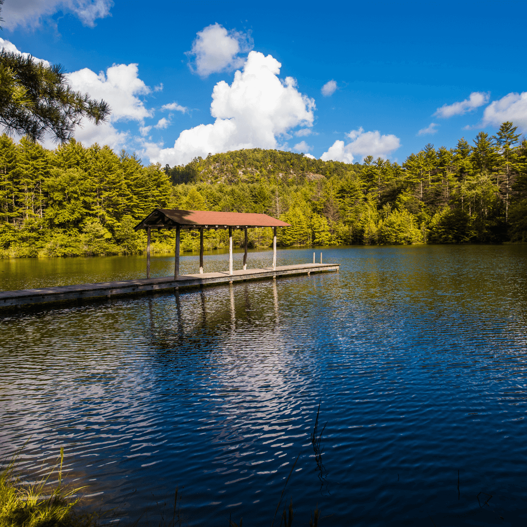 Lake Dense