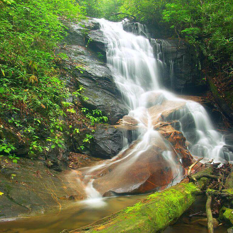 Log Hollow Falls