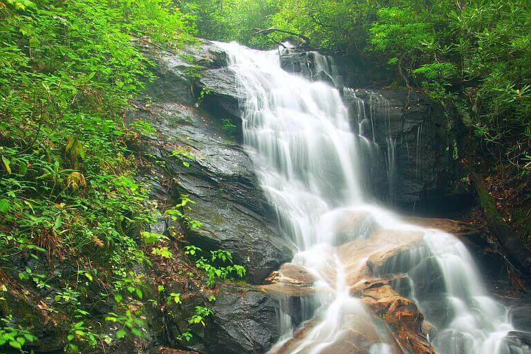 Log Hollow Falls