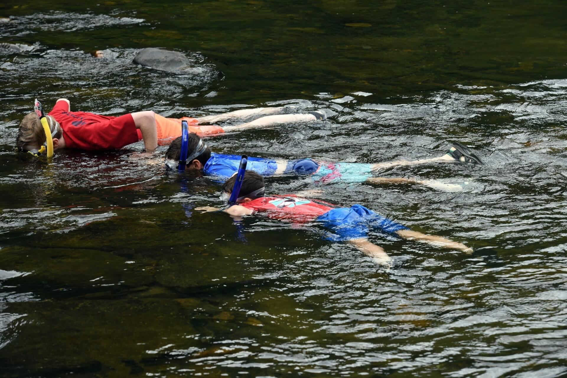 Snorkel the French Broad  with Oxbow Snorkeling & MountainTrue