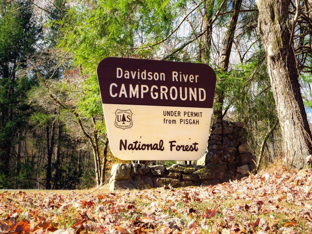 Davidson River Campground