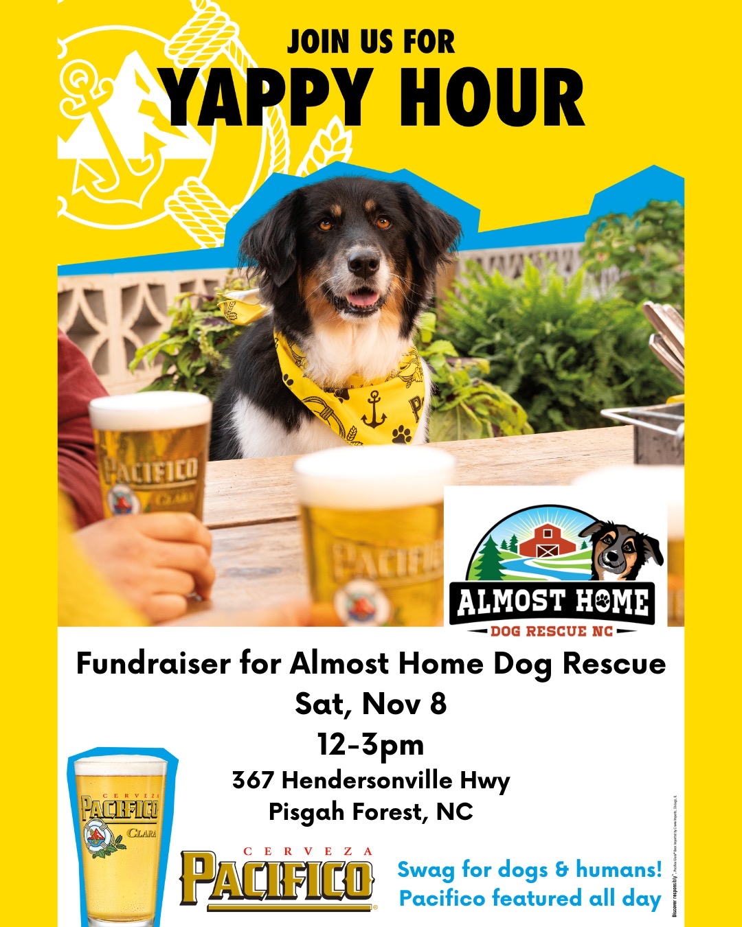 Pacifico Yappy Hour-explore-brevard