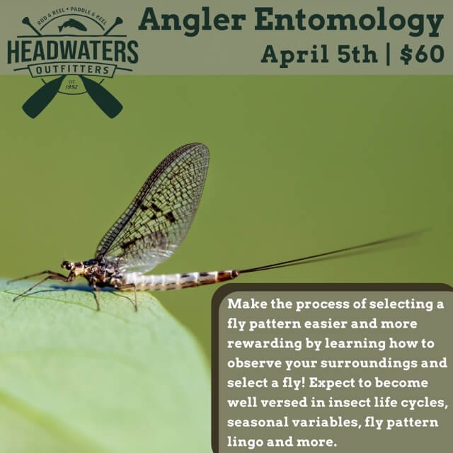 Angler Entomology with Guide Patrick Weaver