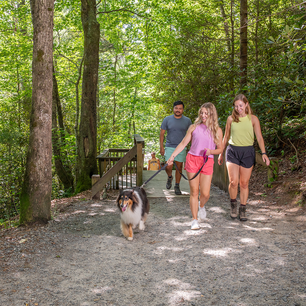 Pet Friendly Hiking 20230725 019-explore-brevard