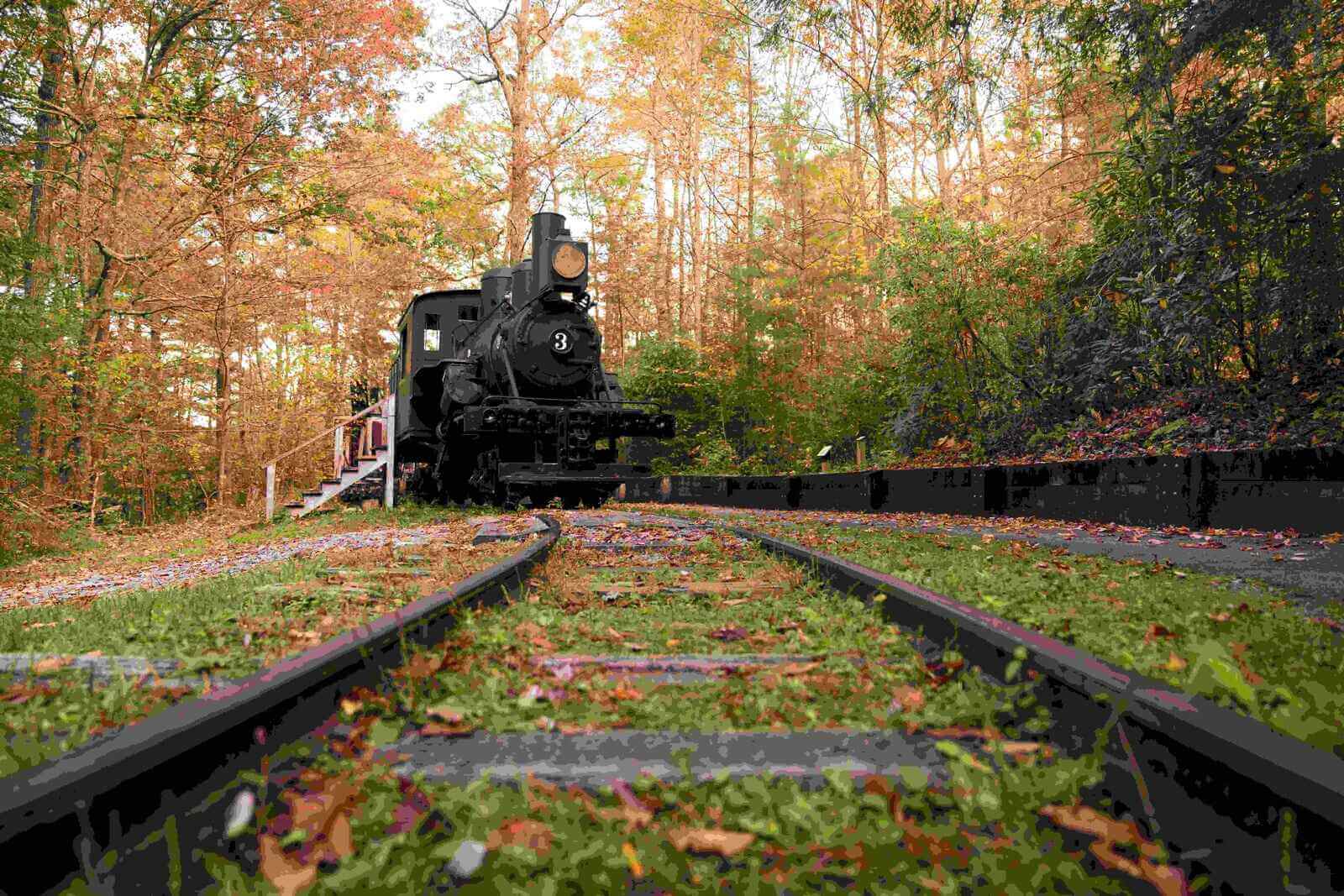 Cradle of Forestry Forest Heritage Site