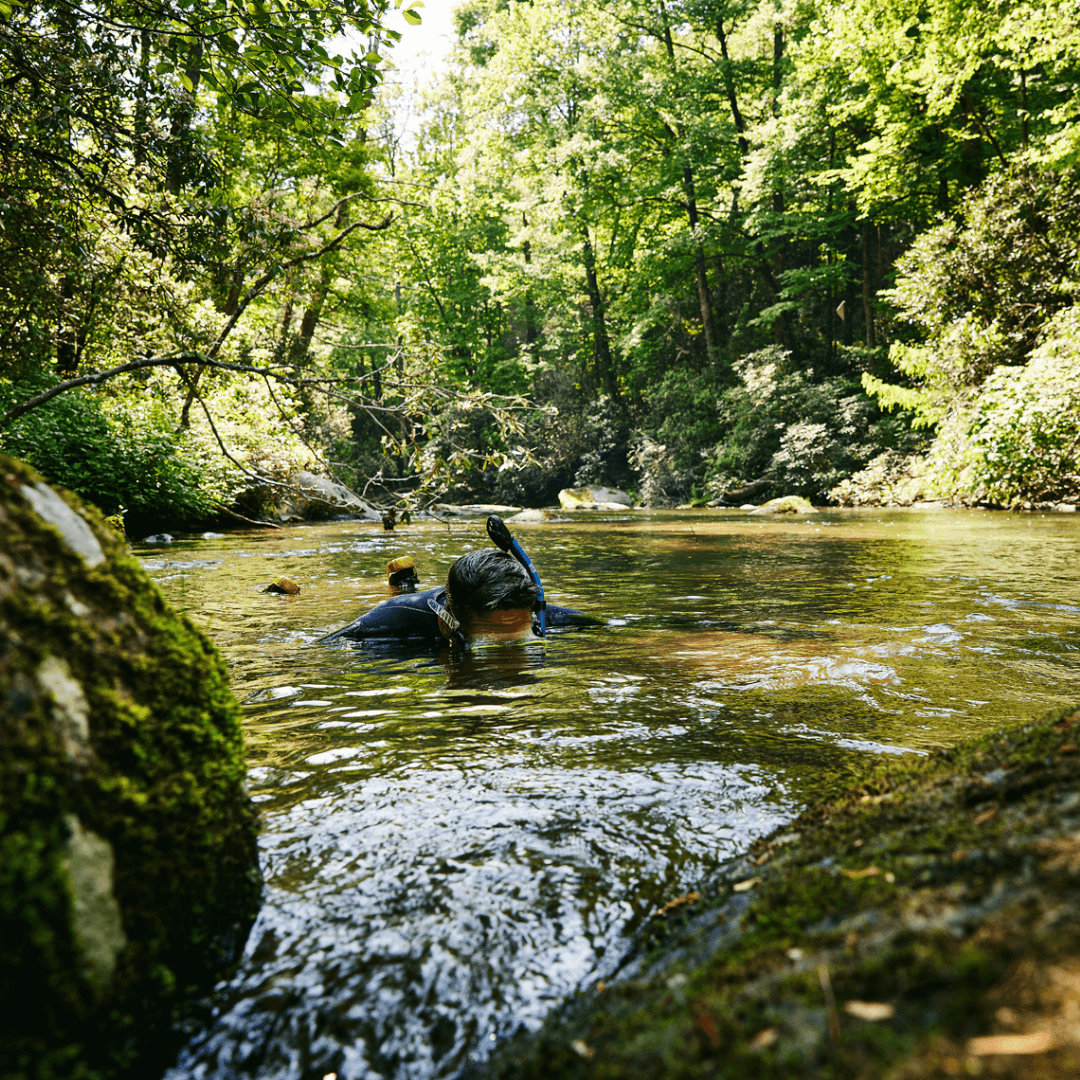 River Snorkeling-explore-brevard