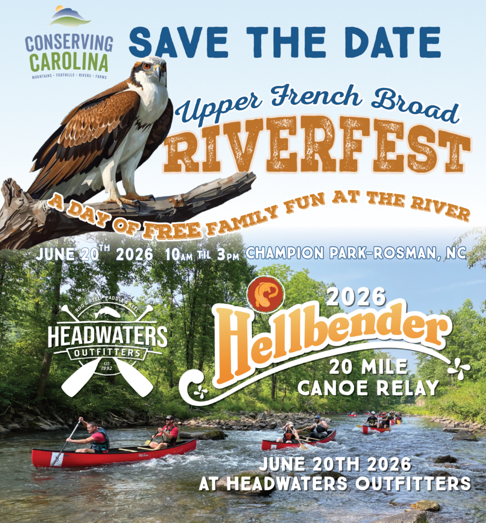 Upper French Broad Riverfest & Hellbender 20-Miler Canoe Race