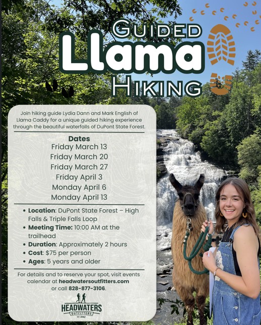 Guided Llama Hikes