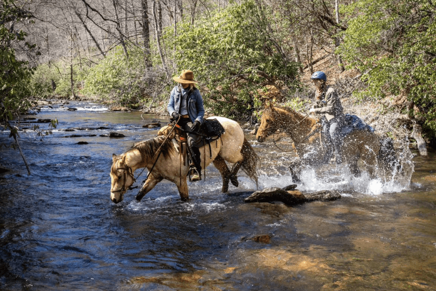 Two people cross the river on horseback on a guided excursion with Little River Trail Guides in DuPont State Recreational Forest