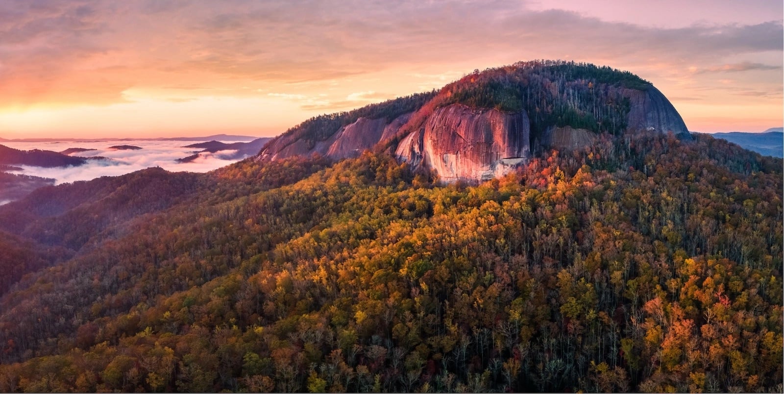 Learn about The Pisgah Conservancy at the Transylvania County Library