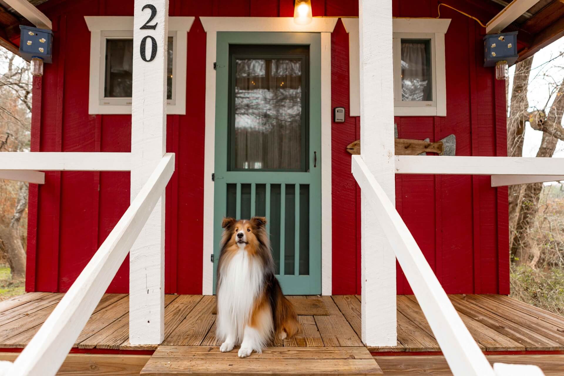 A dog sits on the porch of River Cabin at Deerwoode Reserve near Downtown Brevard