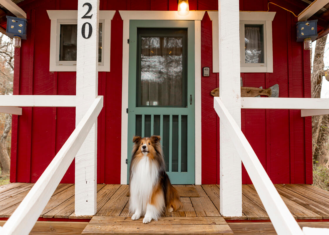 TransylvaniaTDA BrenPhotography2024 372 2-explore-brevard