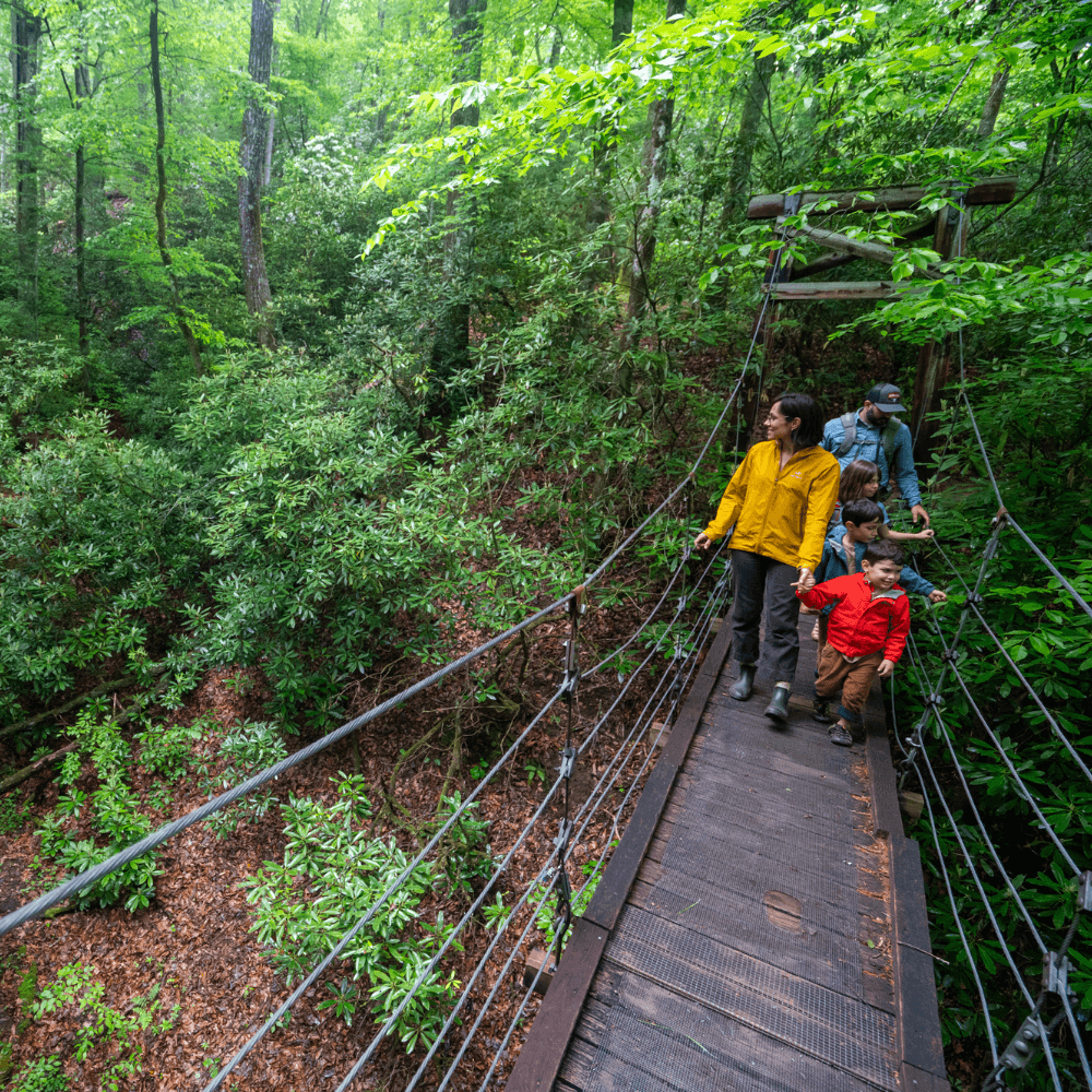 Kid Friendly Hikes