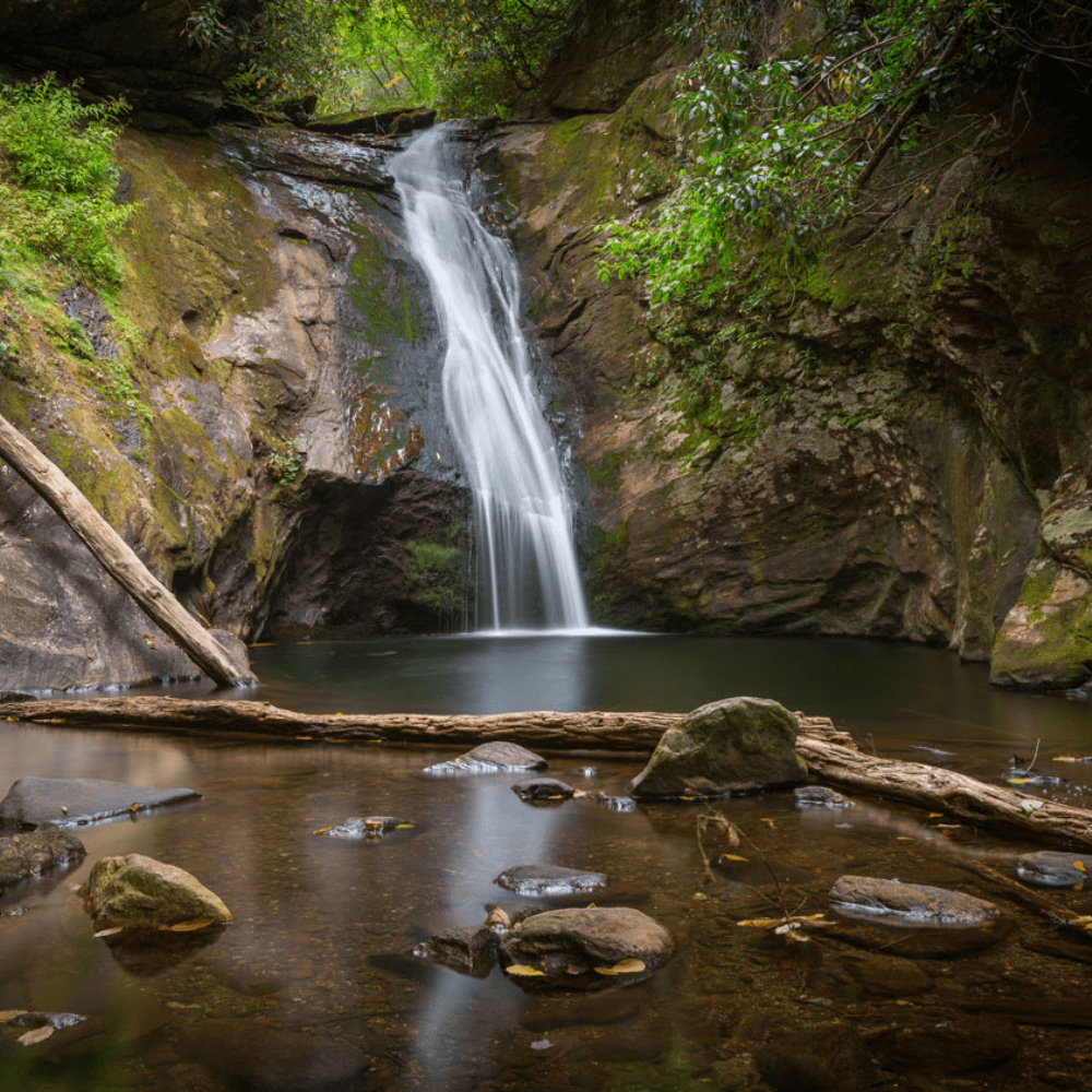 Torry Nergart's Forest Tips