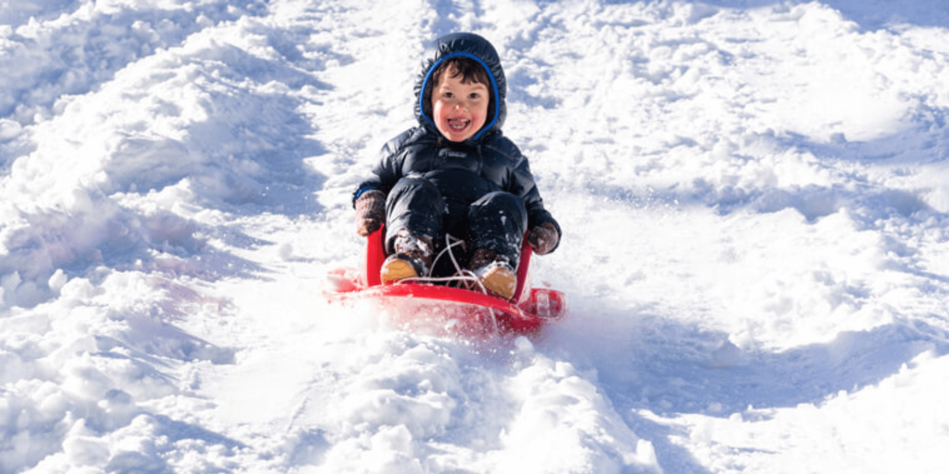 Untitled design 82 1-explore-brevard