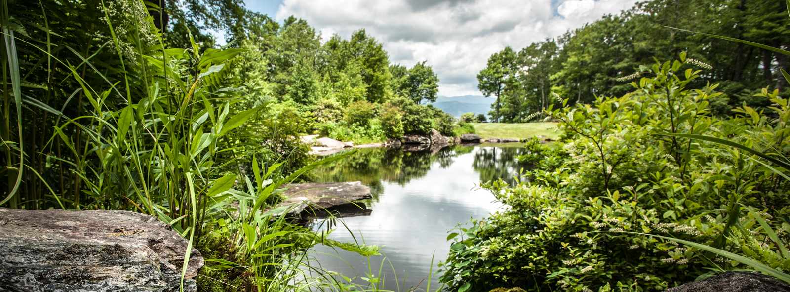 VaseyiPond-explore-brevard