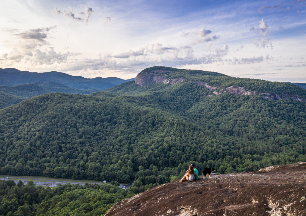 Pisgah Forest