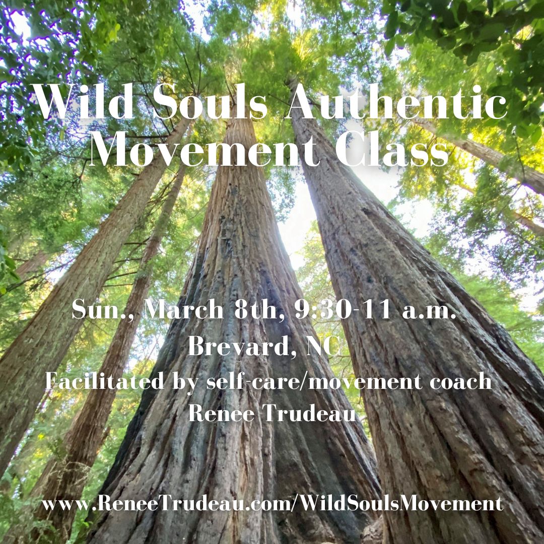 Wild Souls Authentic Movement Class
