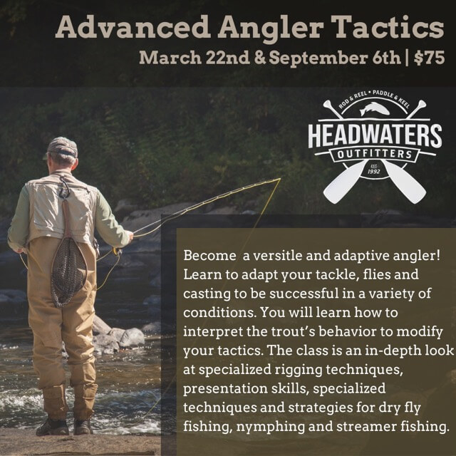 Advanced Angler Tactics with Guide Patrick Weaver