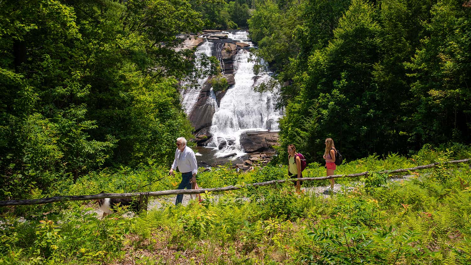 banner adventure-explore-brevard