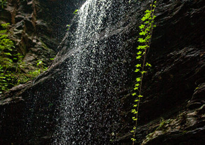 brevard nc waterfalls2 400x284 1-explore-brevard