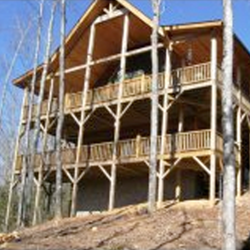 Cabin in the Trees