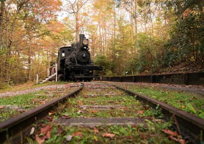 cradle of forestry pisgah national forest 400x284 1-explore-brevard