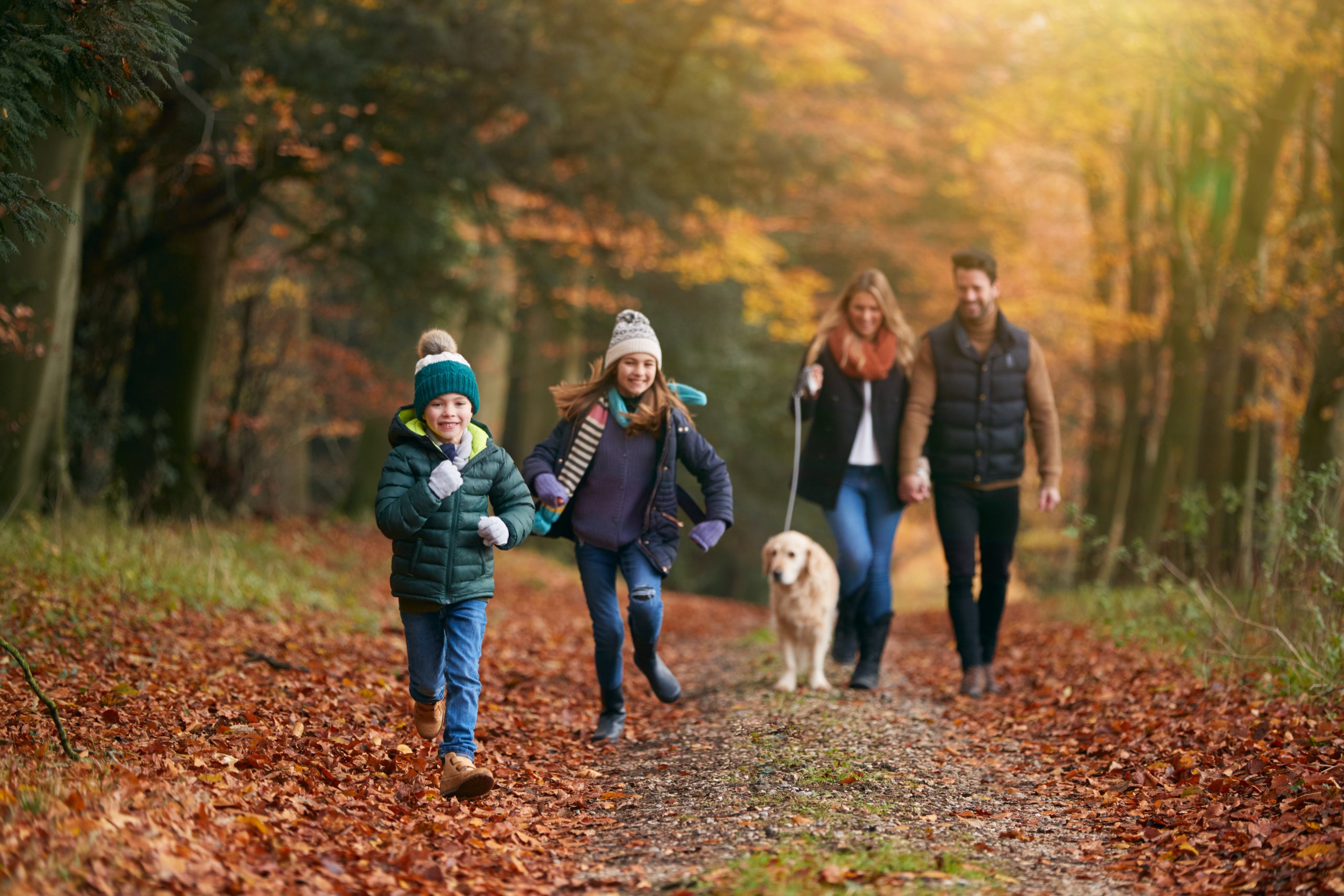 family walking with pet golden retriever dog along 2024 10 19 11 42 34 utc scaled-explore-brevard