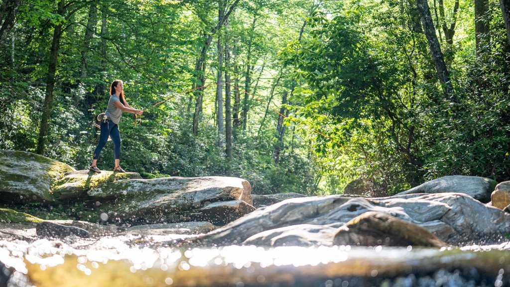 Try a Mountain Biking & Fly Fishing Adventure