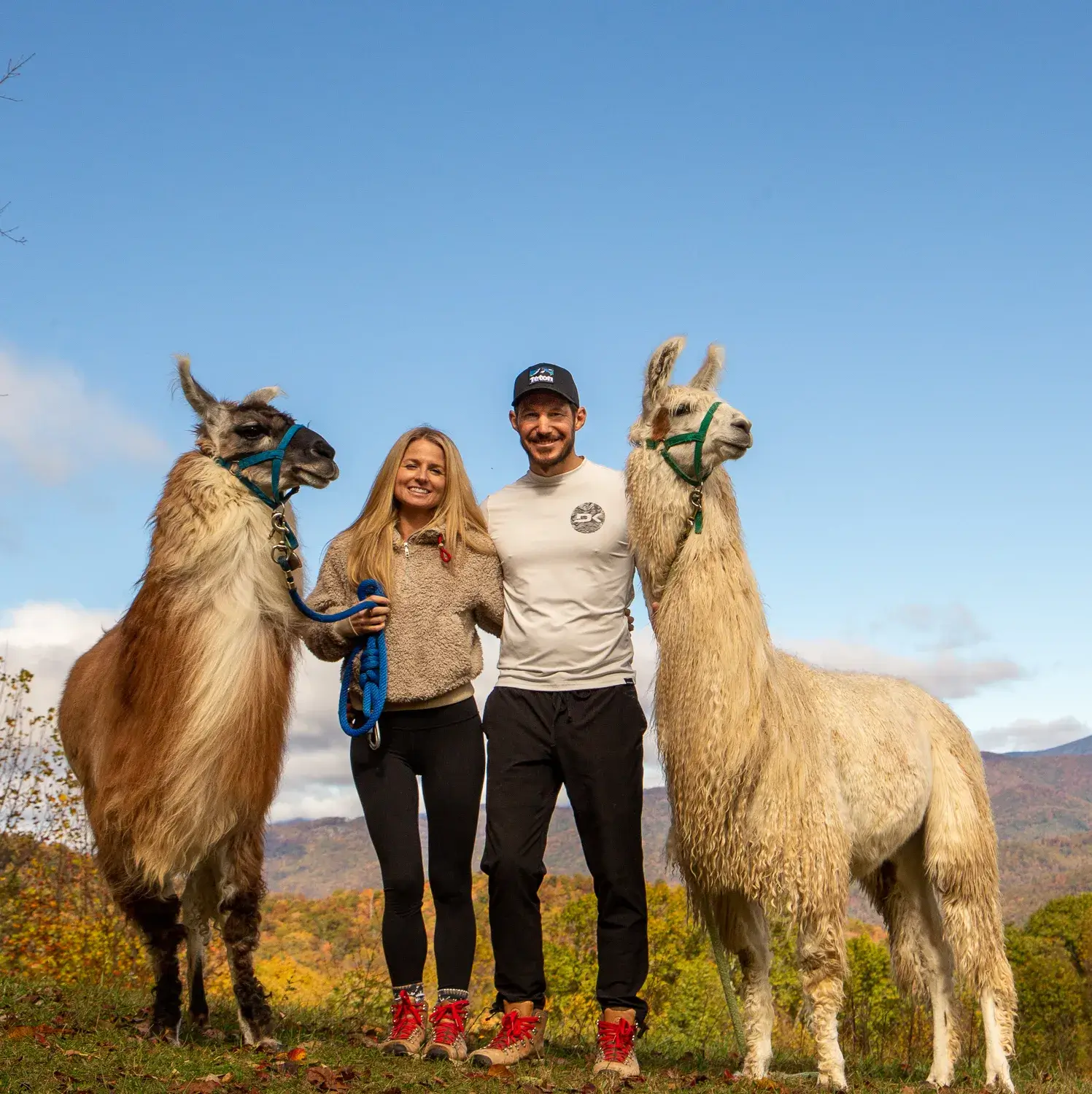 Earthshine Lodge’s Llama Hikes