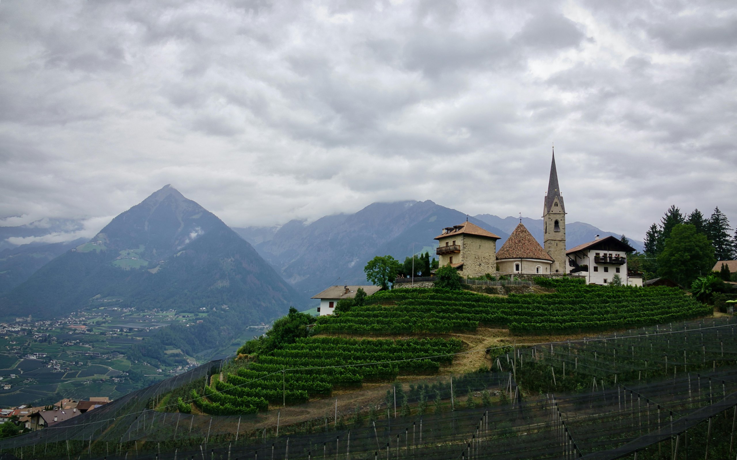 Pop-Up Wine Tasting