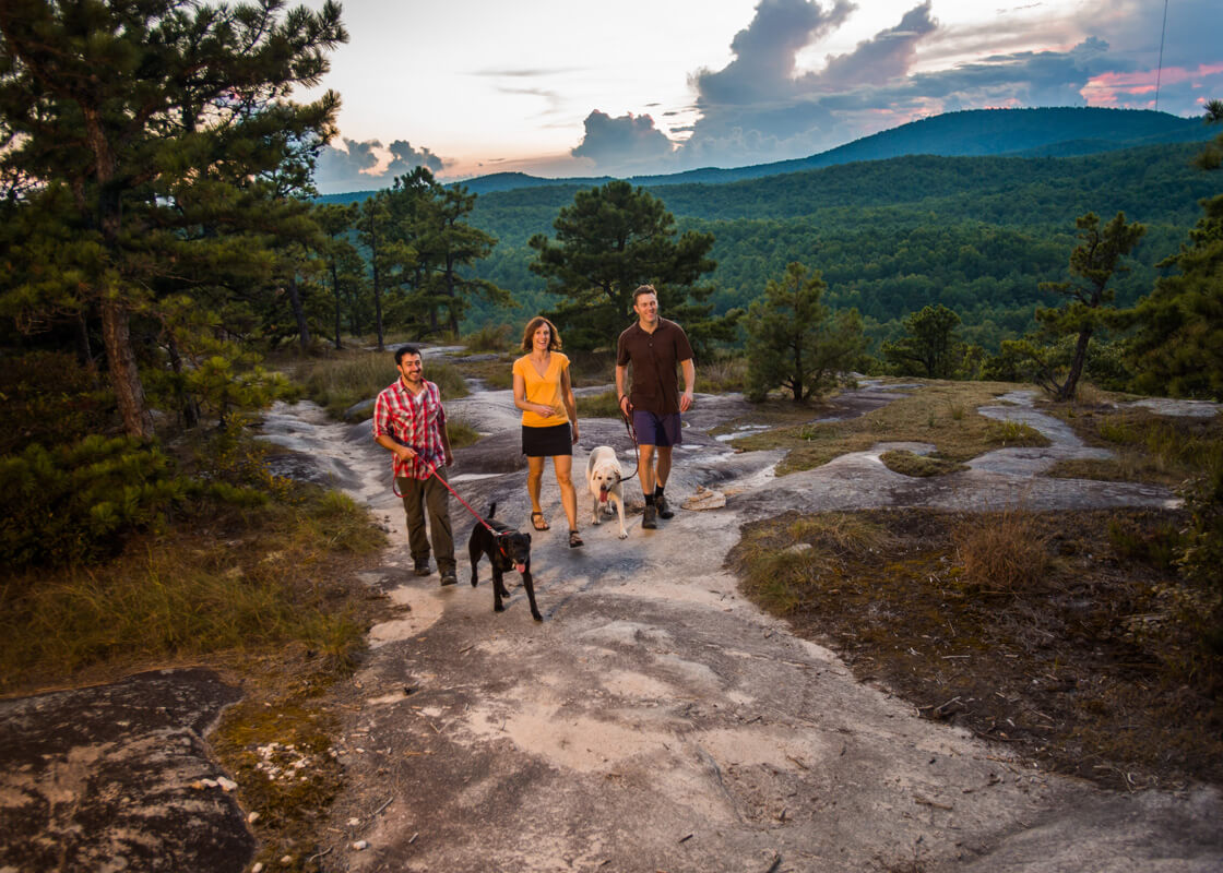 tdadupont1524-explore-brevard